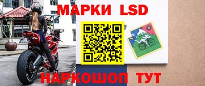 прущие грибы Заволжье