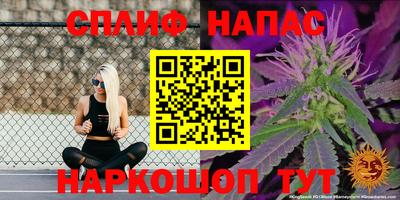 прущие грибы Заволжье