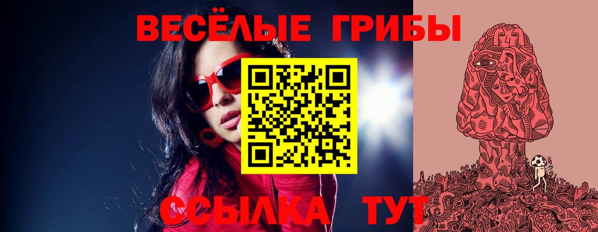 Галлюциногенные грибы Cubensis Псков
